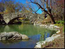 Gapstow Bridge - Central Park, New York